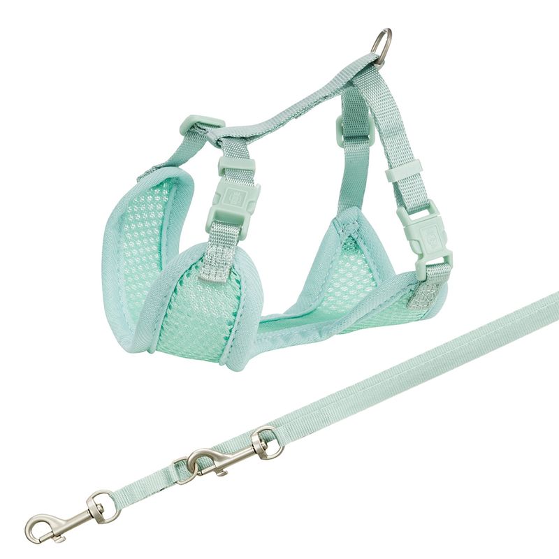 Mint green harness with mesh material and adjustable straps, including matching lead with metal snap hook.