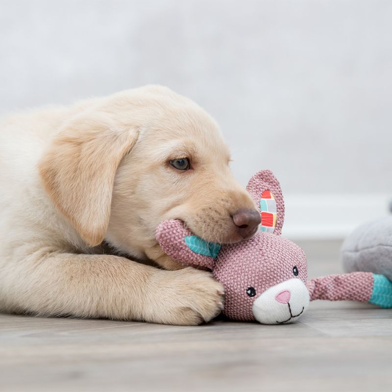Pink soft toy in the shape of a rabbit with colourful ears and a white face, lying on a wooden floor.