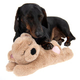 Mr Snugglez Dog Toy || zooplus Exclusive || view 7