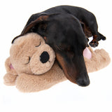 Mr Snugglez Dog Toy || zooplus Exclusive || view 5