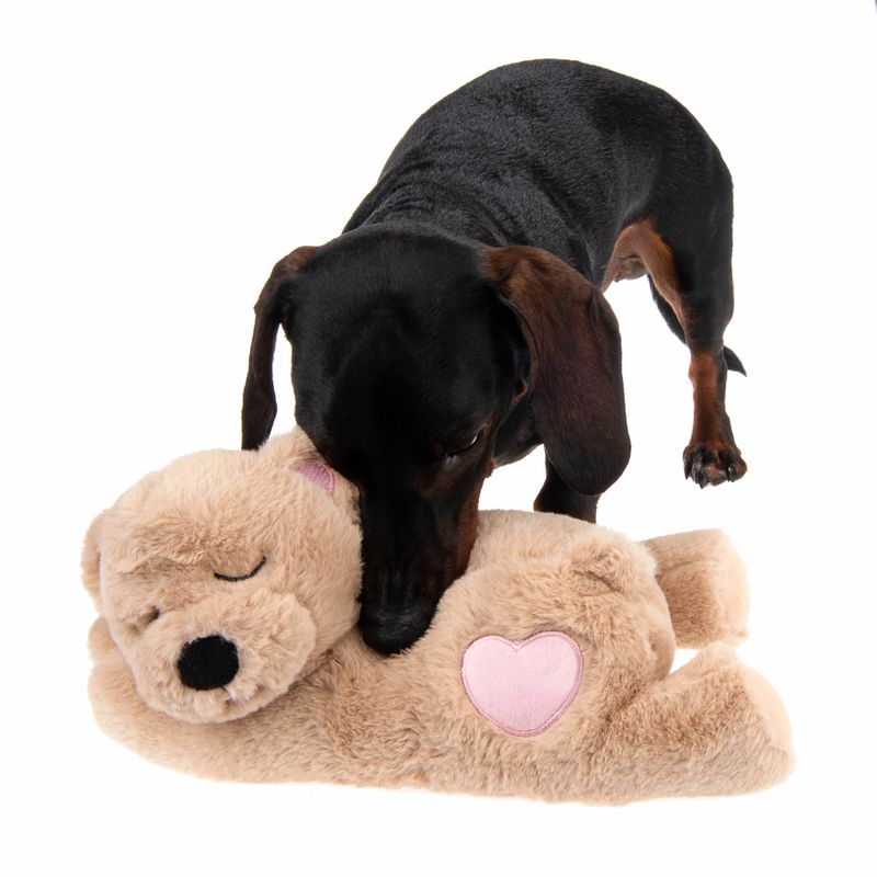 Mr Snugglez Dog Toy || zooplus Exclusive || view 9