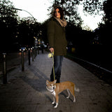 flexi New Neon Webbing Leash - 5m || flexi || view 14