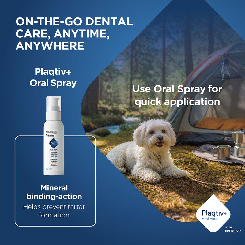 Plaqitv+ Oral Spray, 60 ml. Quick application for dental care on the go. Mineral binding helps to prevent tartar formation. Plaqtiv+ oral care with XPERSIV.