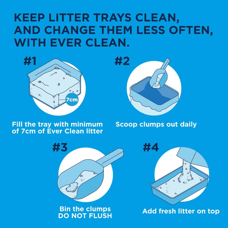 Ever Clean® Total Cover Clumping Cat Litter - Unscented