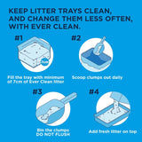 Ever Clean® Total Cover Clumping Cat Litter - Unscented