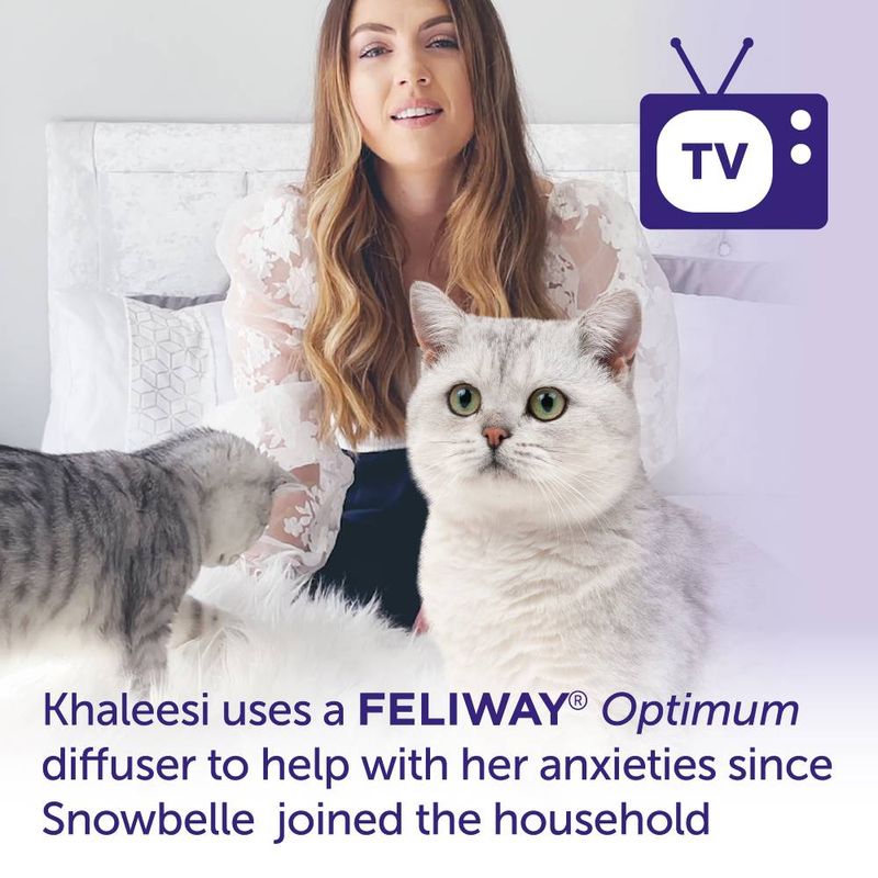 Feliway® Optimum Refill || undefined || view 4