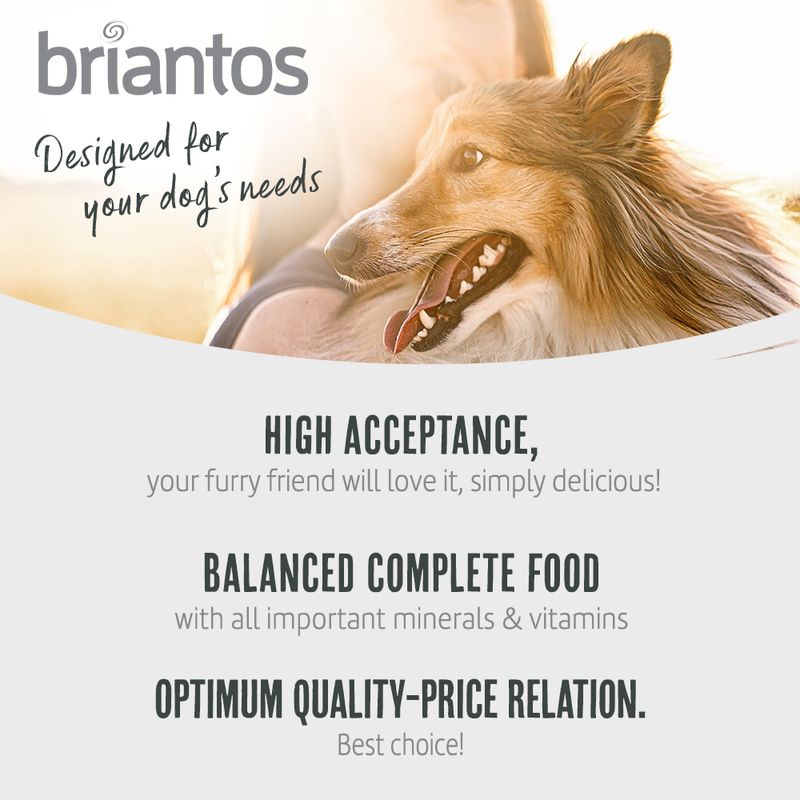 Briantos Adult Chicken & Rice || briantos || view 3
