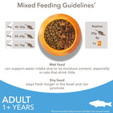 IAMS Advanced Nutrition Adult Cat with Ocean Fish || IAMS || view 6