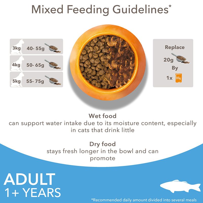 IAMS Advanced Nutrition Adult Cat with Ocean Fish || IAMS || view 6