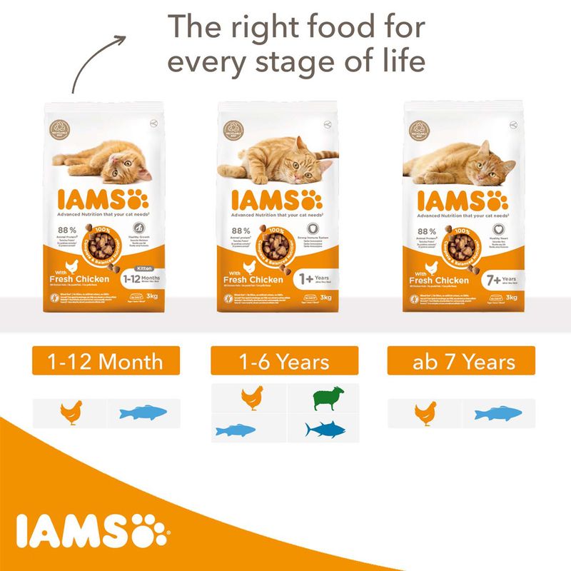 IAMS Advanced Nutrition Kitten with Fresh Chicken || IAMS || view 9