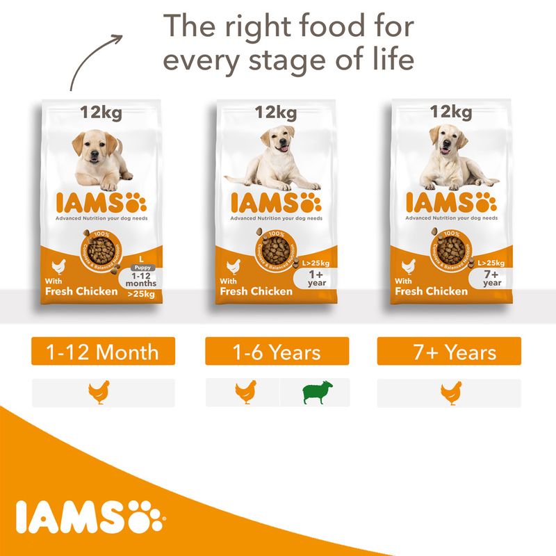 IAMS Advanced Nutrition Adult Large Dog - Chicken || undefined || view 8