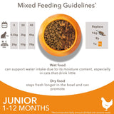 IAMS Advanced Nutrition Kitten with Fresh Chicken || IAMS || view 7