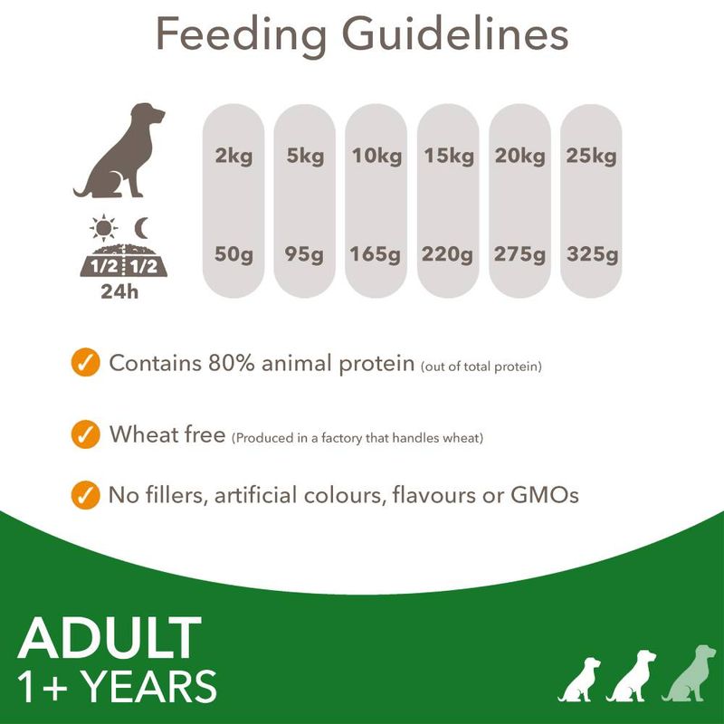 IAMS Advanced Nutrition Adult Small & Medium Dog - Lamb || undefined || view 6