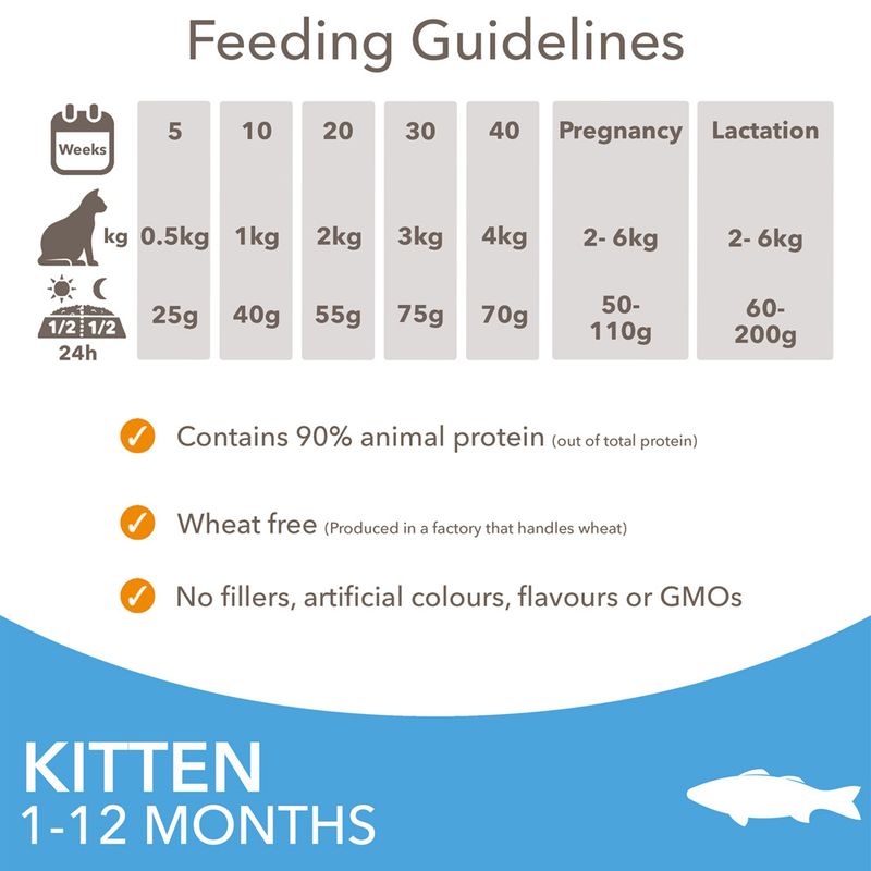 IAMS Advanced Nutrition Kitten with Ocean Fish || IAMS || view 5