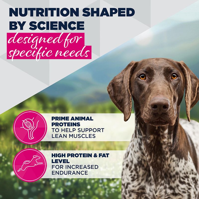 Eukanuba Special Care Adult Working & Endurance