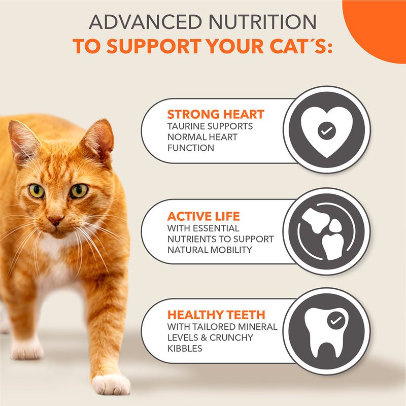 Advanced nutrition benefits: taurine supports normal heart function, essential nutrients aid mobility, tailored minerals and crunchy kibbles help maintain healthy teeth.