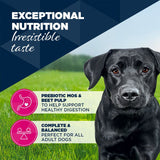 Eukanuba Adult Rich in Turkey with Carrots