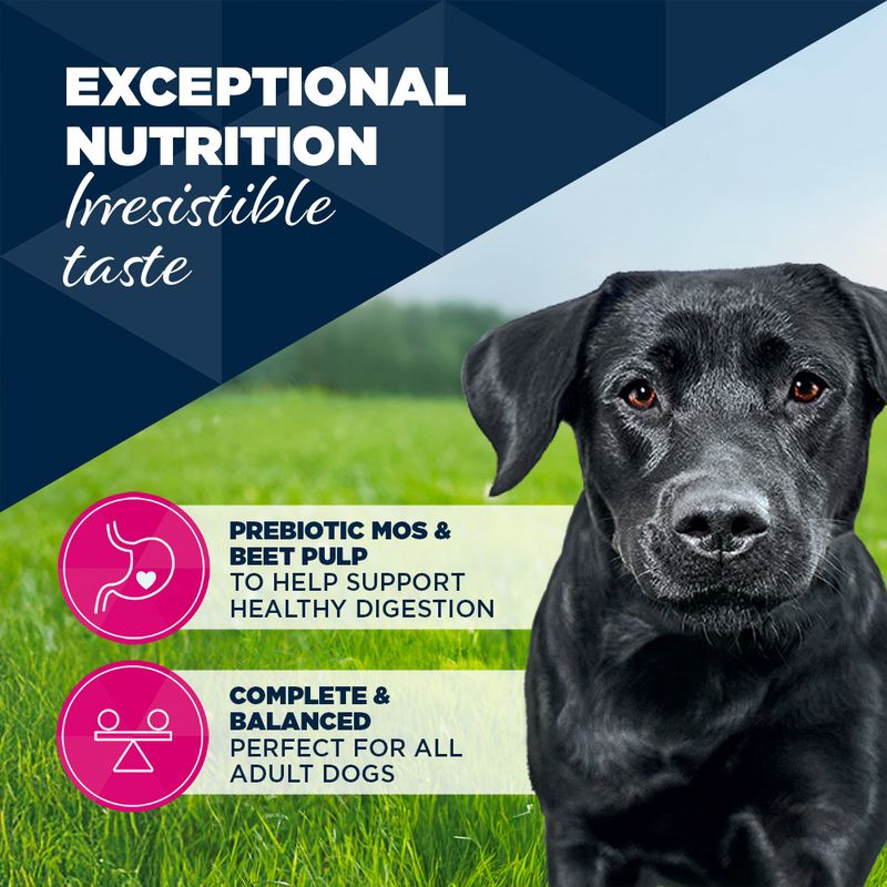 Eukanuba Adult Rich in Turkey with Carrots