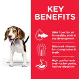 Hill's Science Plan Puppy <1 Medium with Lamb & Rice || Hill's Science Plan || view 3