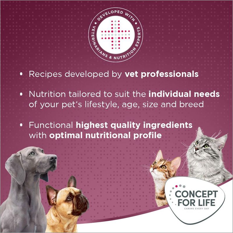 Recipes developed by vet professionals, nutrition tailored to individual pet needs, highest quality ingredients with optimal nutritional profile. Concept for Life brand shown.