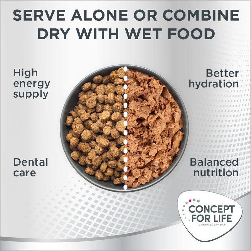 Image showing dry and wet food in a bowl with text: Serve alone or combine dry with wet food. Benefits listed: high energy supply, dental care, better hydration, balanced nutrition.