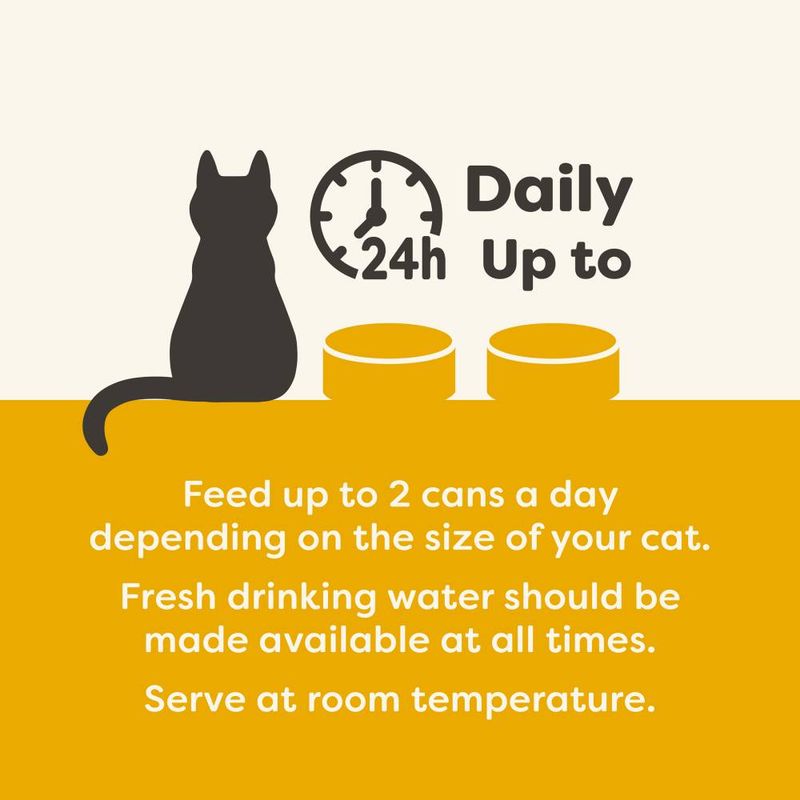 Applaws Adult Cat Cans in Jelly 70g || undefined || view 10