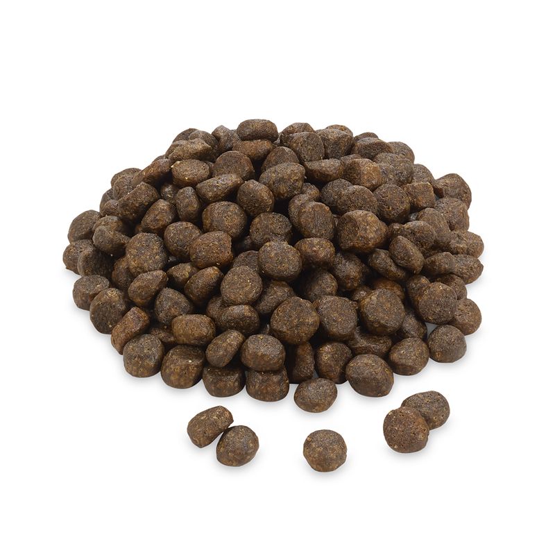 Greenwoods Adult Economy Pack 3 x 3kg || Greenwoods || view 9