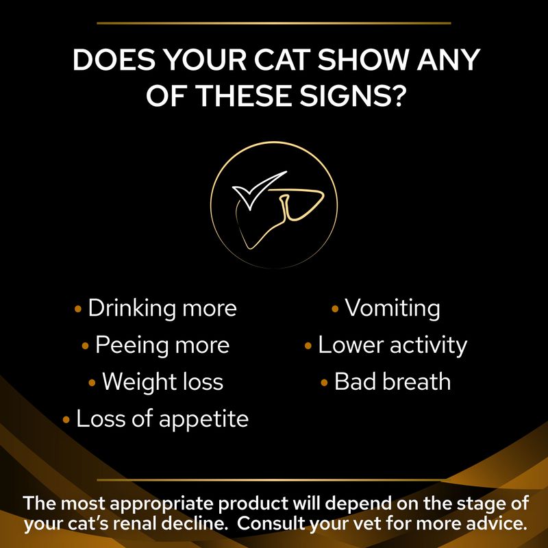 Signs listed: drinking more, peeing more, weight loss, loss of appetite, vomiting, lower activity, bad breath. Advice to consult your vet for product choice based on renal decline stage.