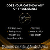 Signs listed: drinking more, peeing more, weight loss, loss of appetite, vomiting, lower activity, bad breath. Advice to consult your vet for product choice based on renal decline stage.