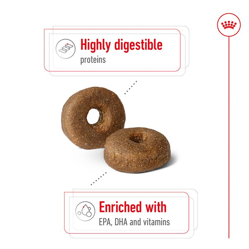 Royal Canin Maxi Ageing 8+ || Royal Canin Size || view 4