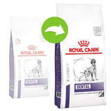Royal Canin Expert Canine Dental || Royal Canin Veterinary Diet || view 2