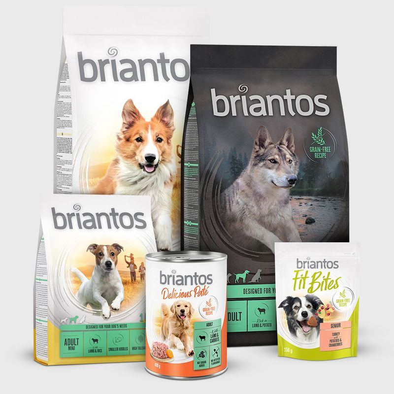 Briantos Chunks in Gravy Saver Pack 24 x 415g || briantos || view 13
