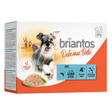 Briantos Delicious Paté, grain-free recipe, for adult dogs, with salmon and peas, no added sugar, no artificial flavours. Pack contains 12 x 100g.