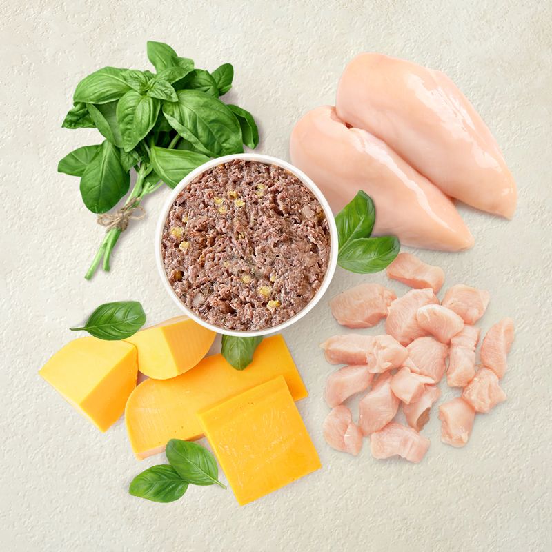 Ingredients: fresh chicken meat, cheese, basil, and a bowl with shredded wet food. Depiction of the main components of the product.
