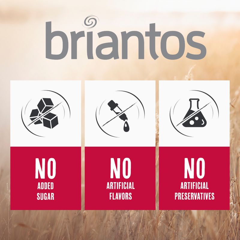 Briantos Adult Salmon & Rice || briantos || view 7
