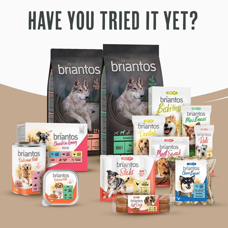 Briantos Adult Mobility Grain-Free Chicken & Potato || briantos || view 8