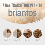 Briantos Maxi Adult || briantos || view 9