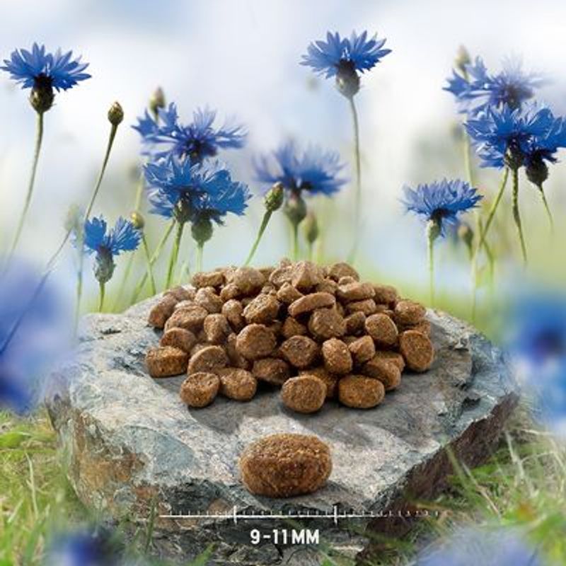 Purizon Single Meat Adult Dog Grain-Free Economy Packs 2 x 12kg || Purizon || view 14