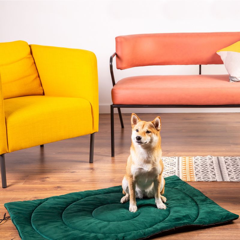 Compass Travel Dog Mat || zooplus Exclusive || view 6