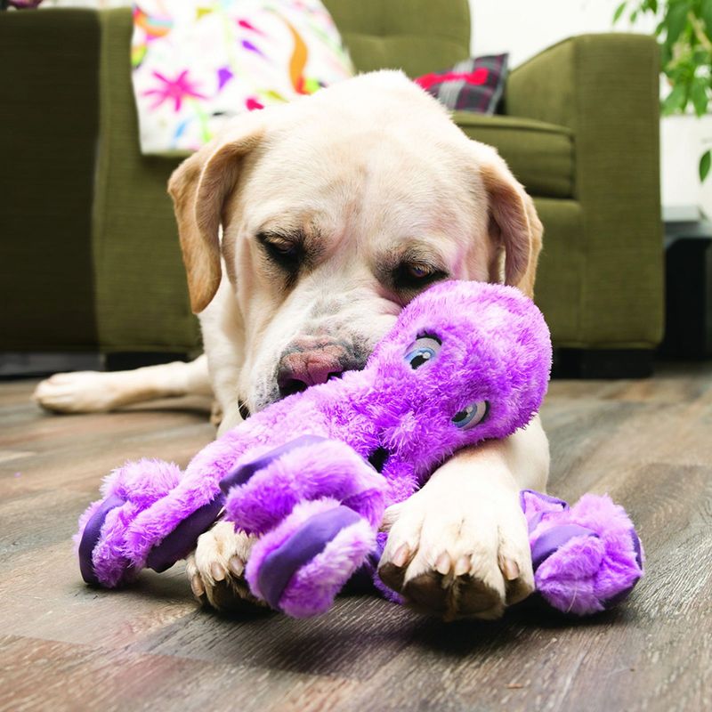 Purple plush toy with multiple knots, suitable for pets. Lying on a wooden floor in front of a green sofa.