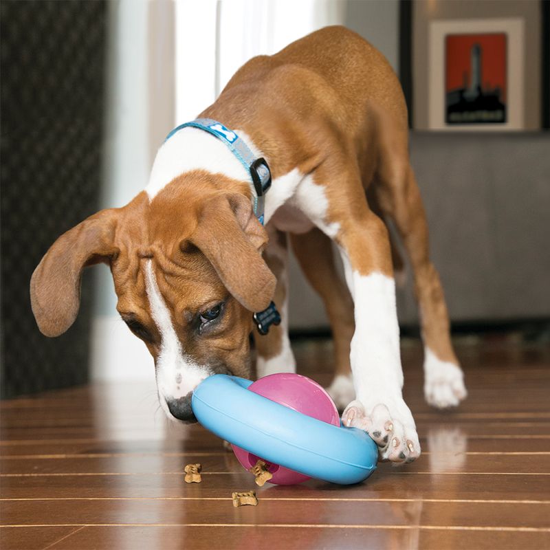 KONG Gyro for Puppies || KONG || view 2