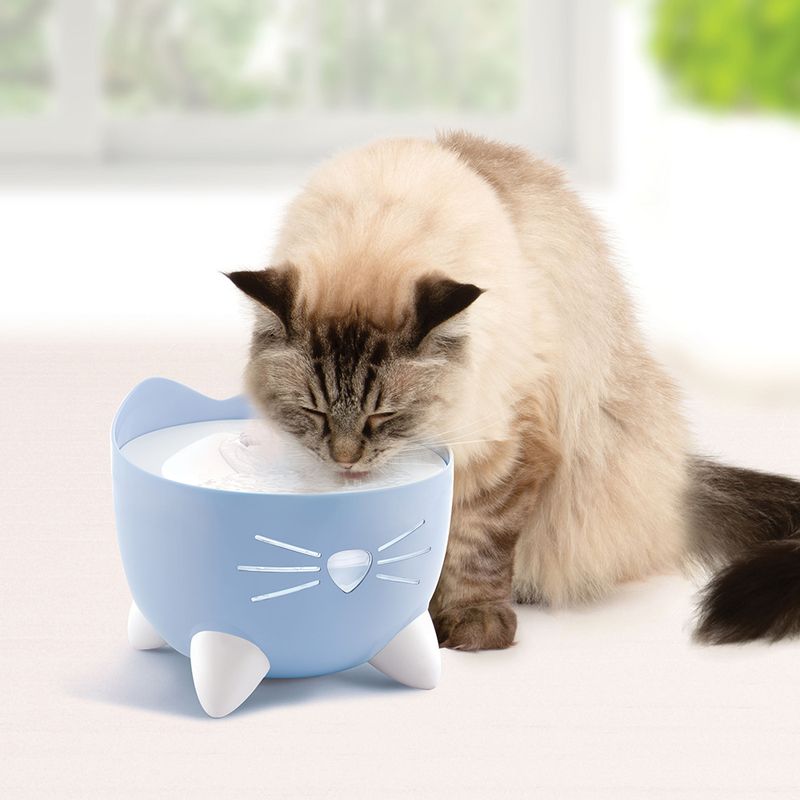 Cat drinking from a blue cat-shaped water fountain with white paws and whiskers. Product shows use of the fountain for pets.