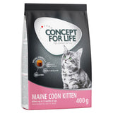 Concept for Life Maine Coon Kitten || Concept for Life || view 2