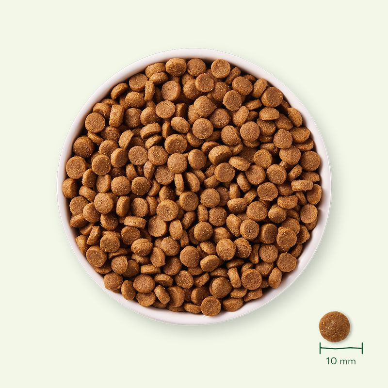 Yarrah Organic Puppy || Yarrah || view 4
