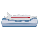 Illustration of an animal lying on an orthopaedic bed with memory foam. Red line shows ergonomic support along the spine.