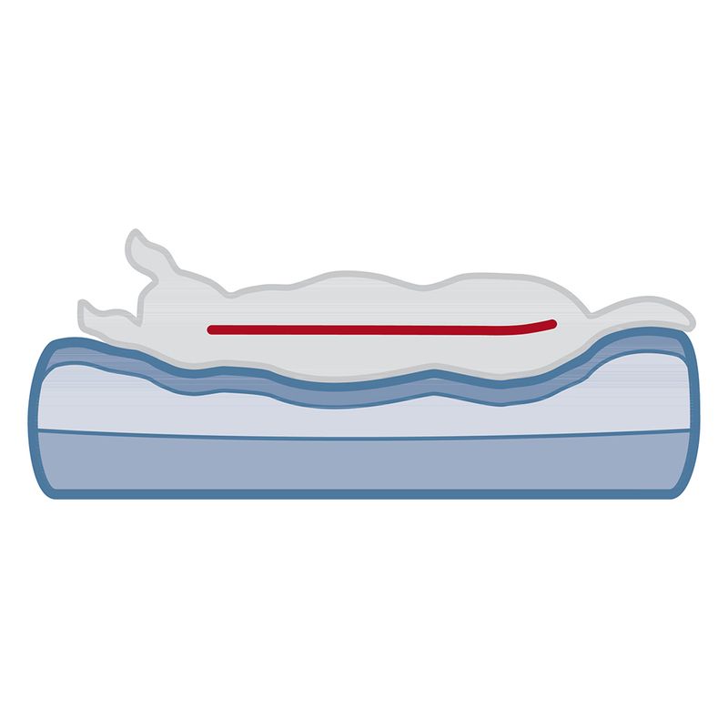 Illustration of an animal lying on an orthopaedic bed with memory foam. Red line shows ergonomic support along the spine.