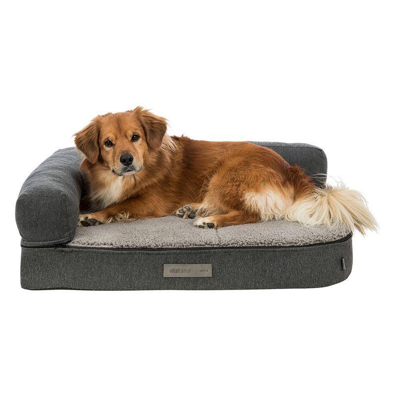 Dog lying on a grey dog bed with soft lying surface and side padding. Label visible: VitalEdition Textil.