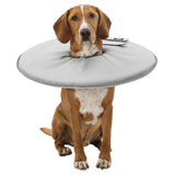 Dog with grey protective collar, suitable for preventing scratching or licking wounds. Adjustable fastener visible.