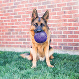 KONG Flexball || KONG || view 2