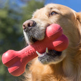 Dog holds red KONG chew toy in bone shape in mouth. Toy for dogs visible.